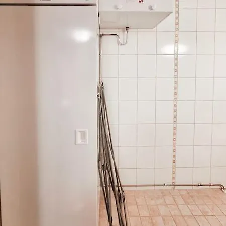 Party In The Center Of Apartment